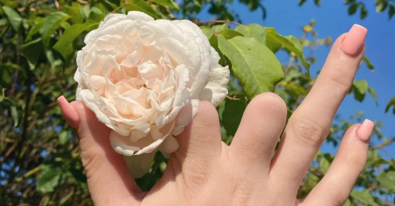 summer short coffin nails